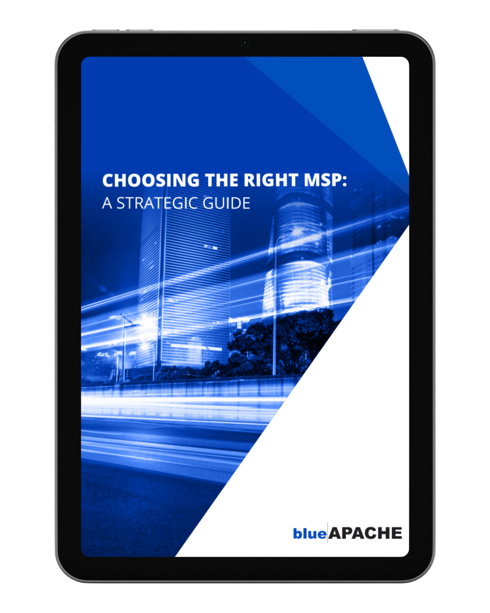 blueAPACHE choosing the right MSP blueAPACHE choosing the right MSP